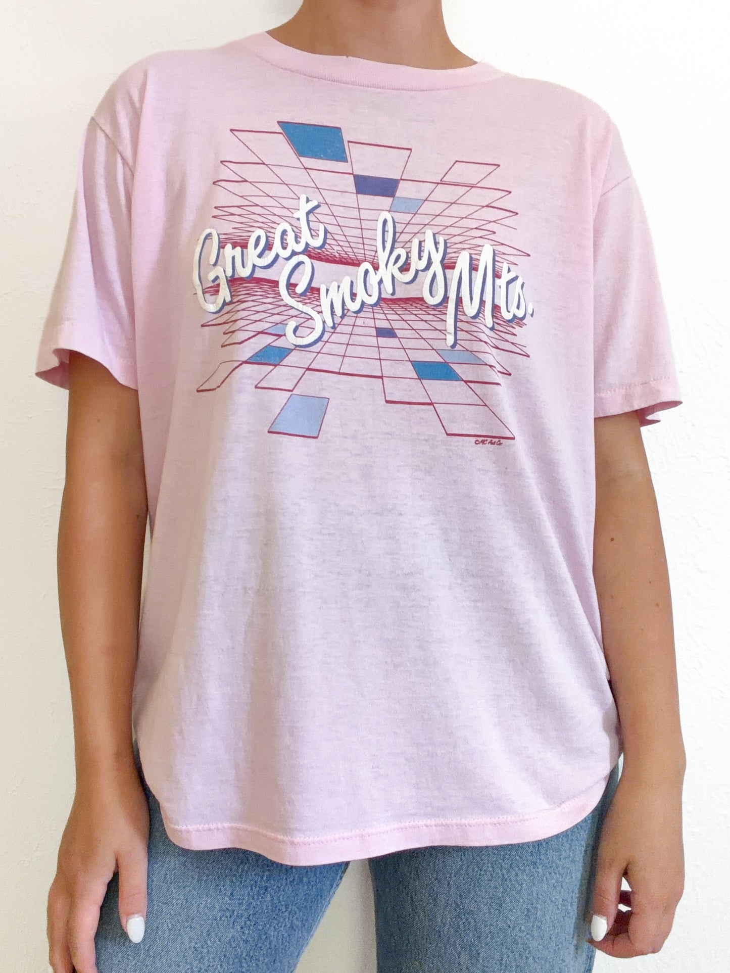 Great Smokey Mountains Vintage T-Shirt (L)