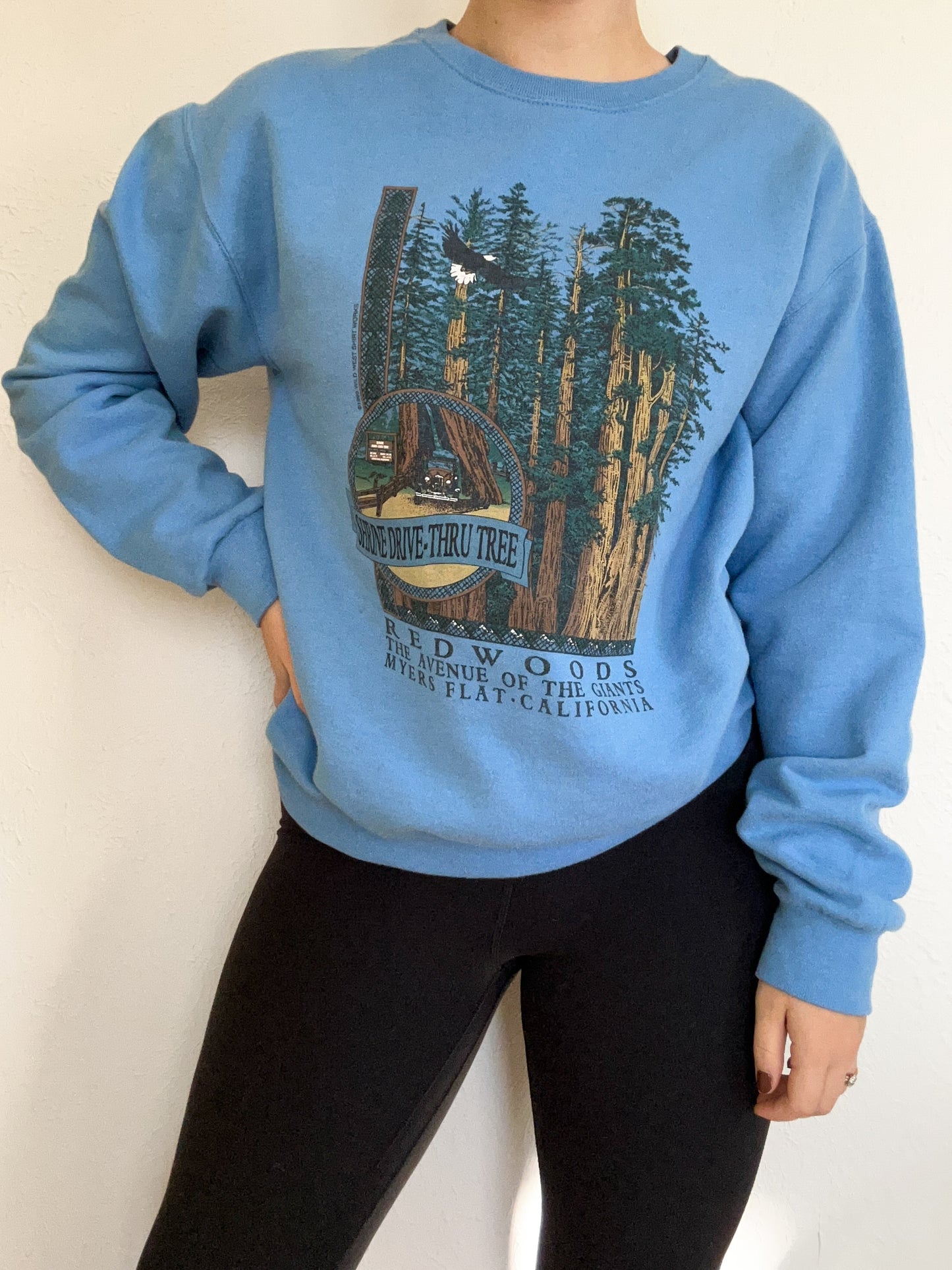 1999 Redwoods Vintage Crewneck (S)