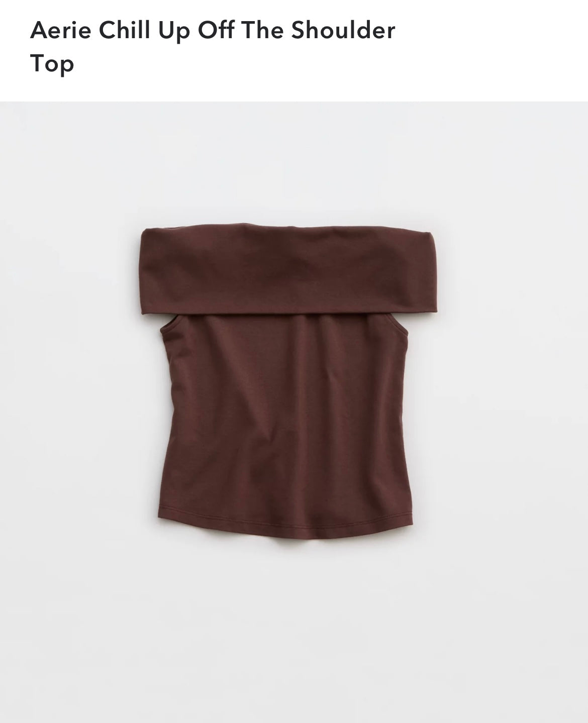 NWT Aerie Chill Up Off the Shoulder Top (XL)
