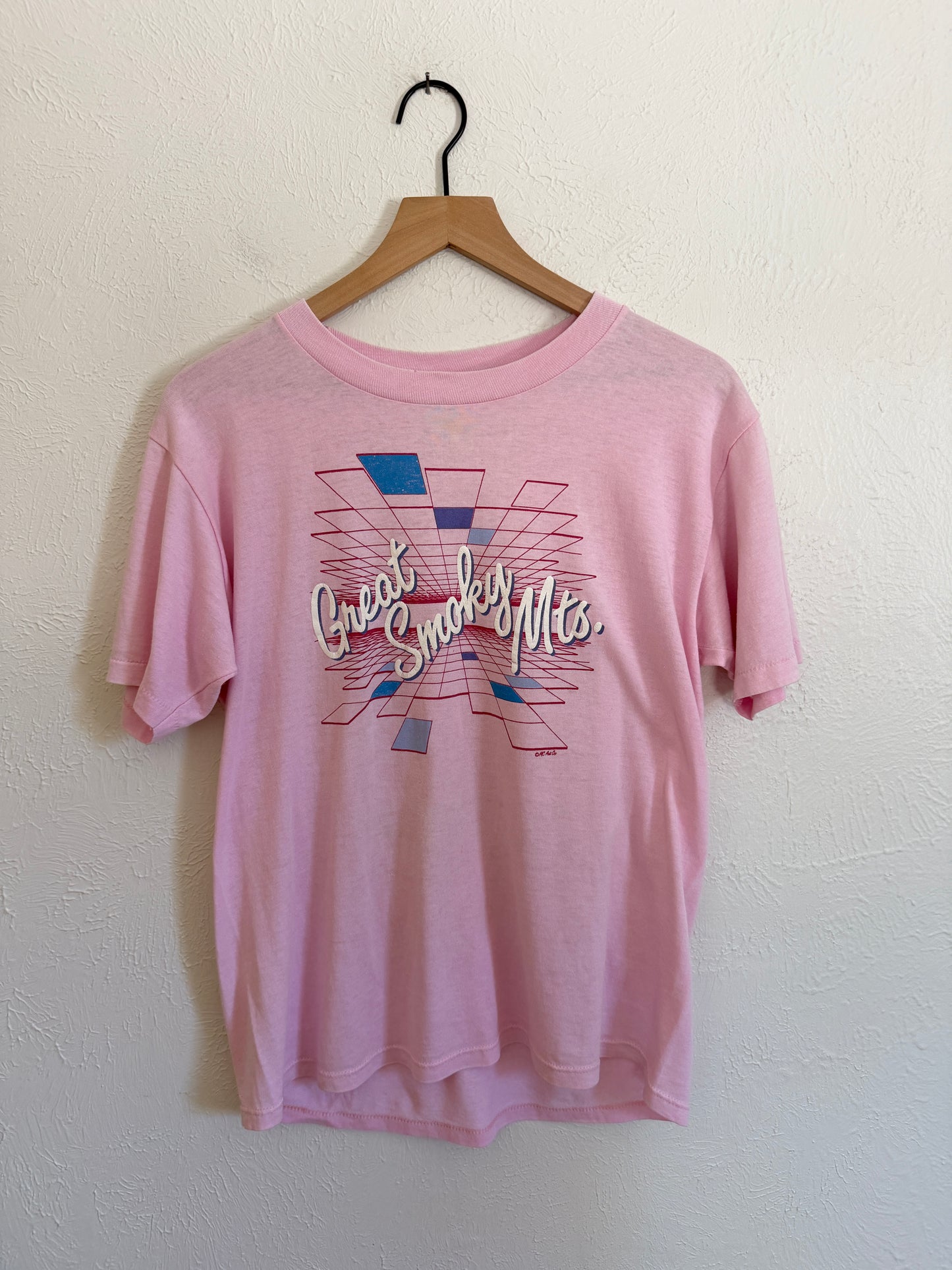 Great Smokey Mountains Vintage T-Shirt (L)