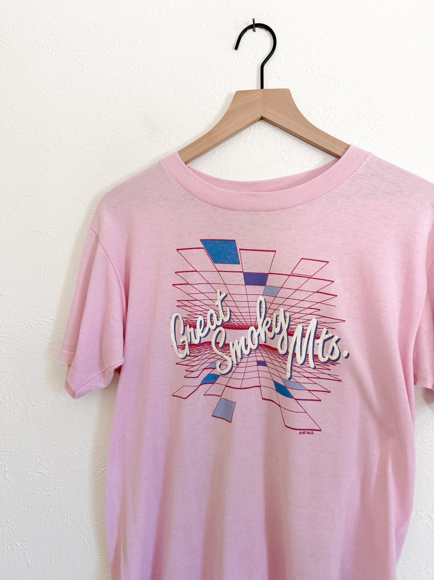 Great Smokey Mountains Vintage T-Shirt (L)