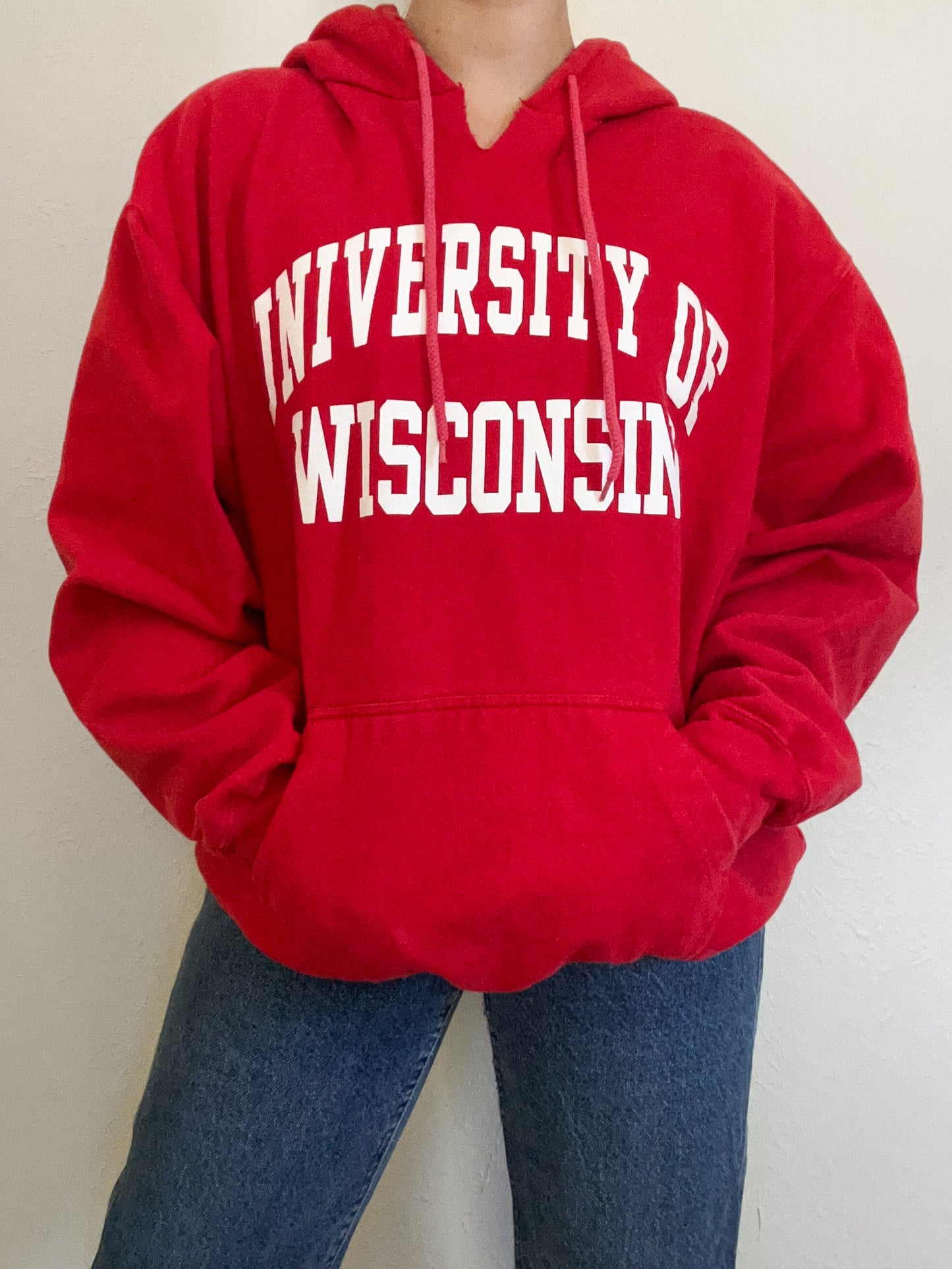 University of Wisconsin Hoodie (L)