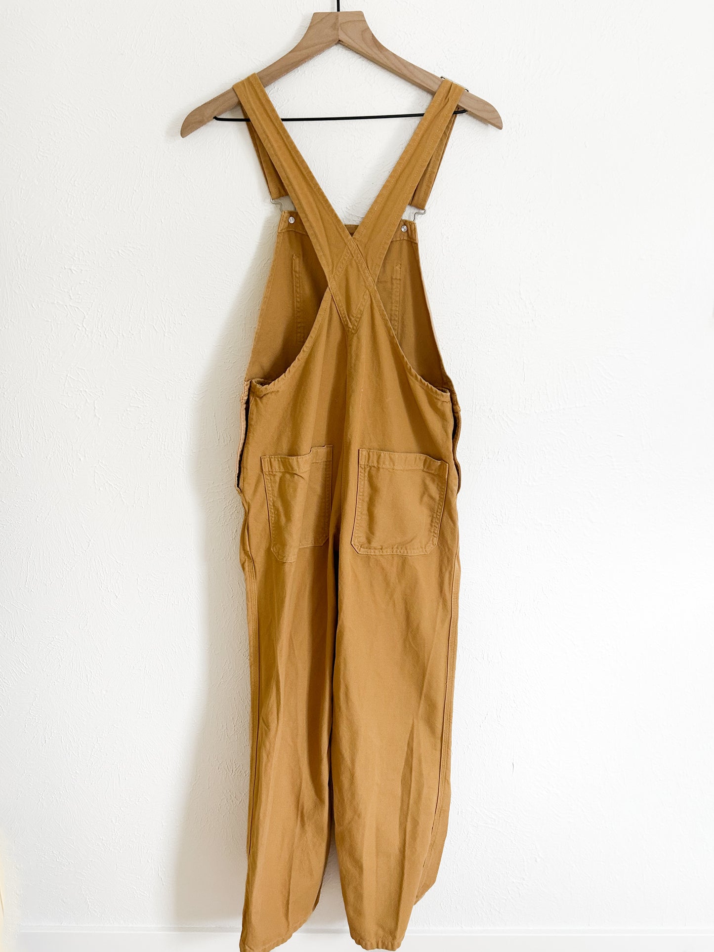 Everlane ‘The Canvas’ Overalls (S)