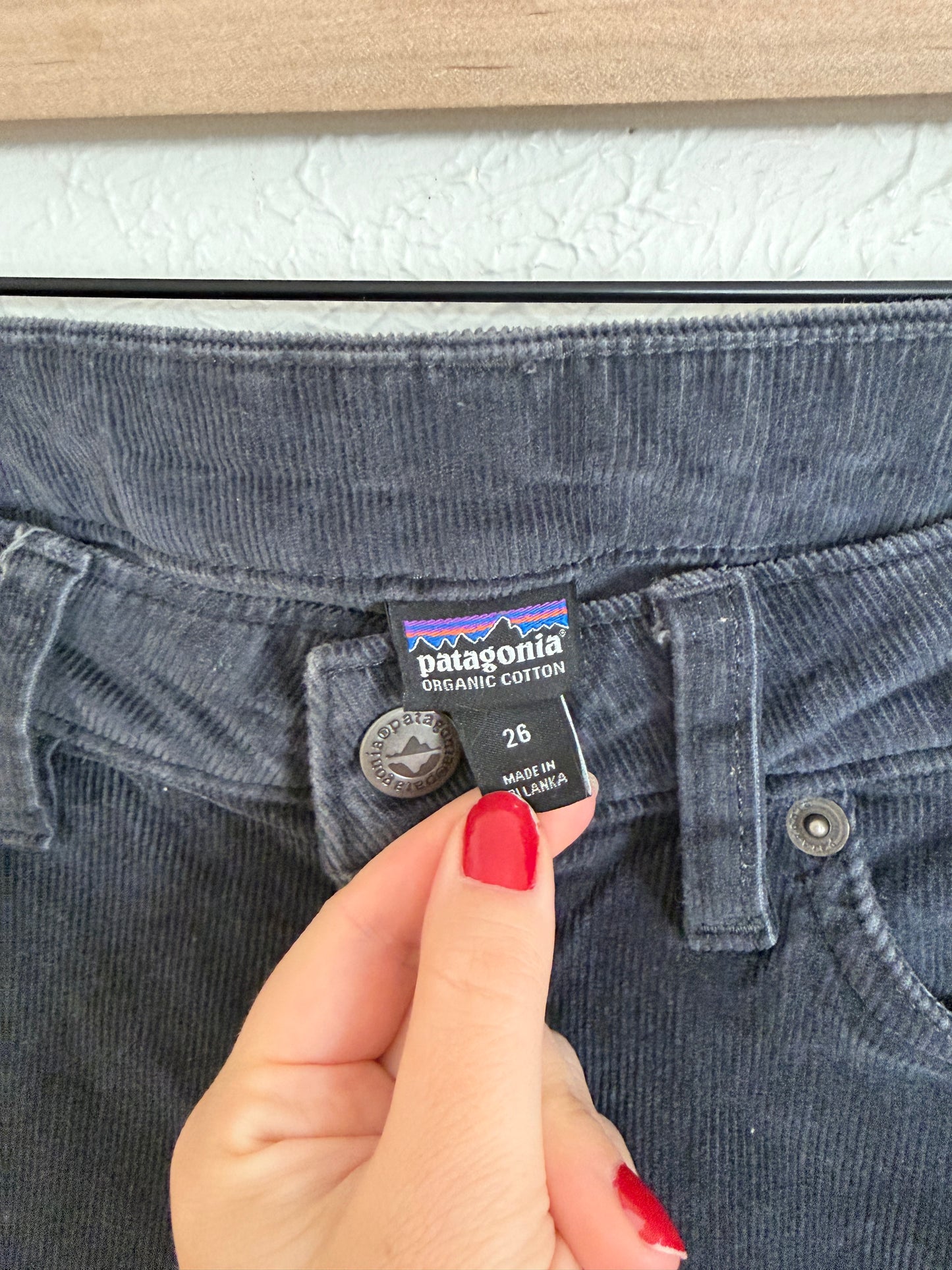 Patagonia Navy Organic Cotton Pants (2)