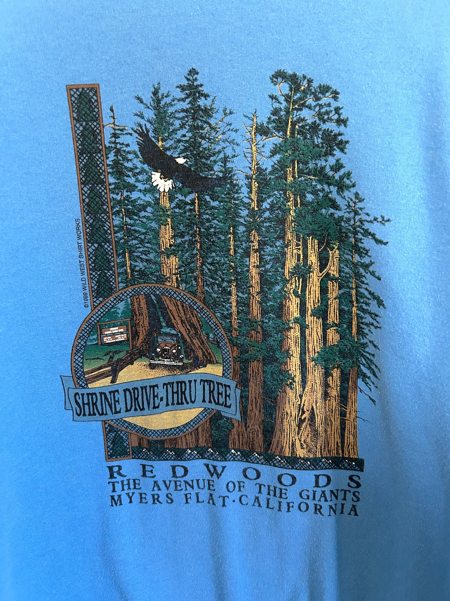 1999 Redwoods Vintage Crewneck (S)