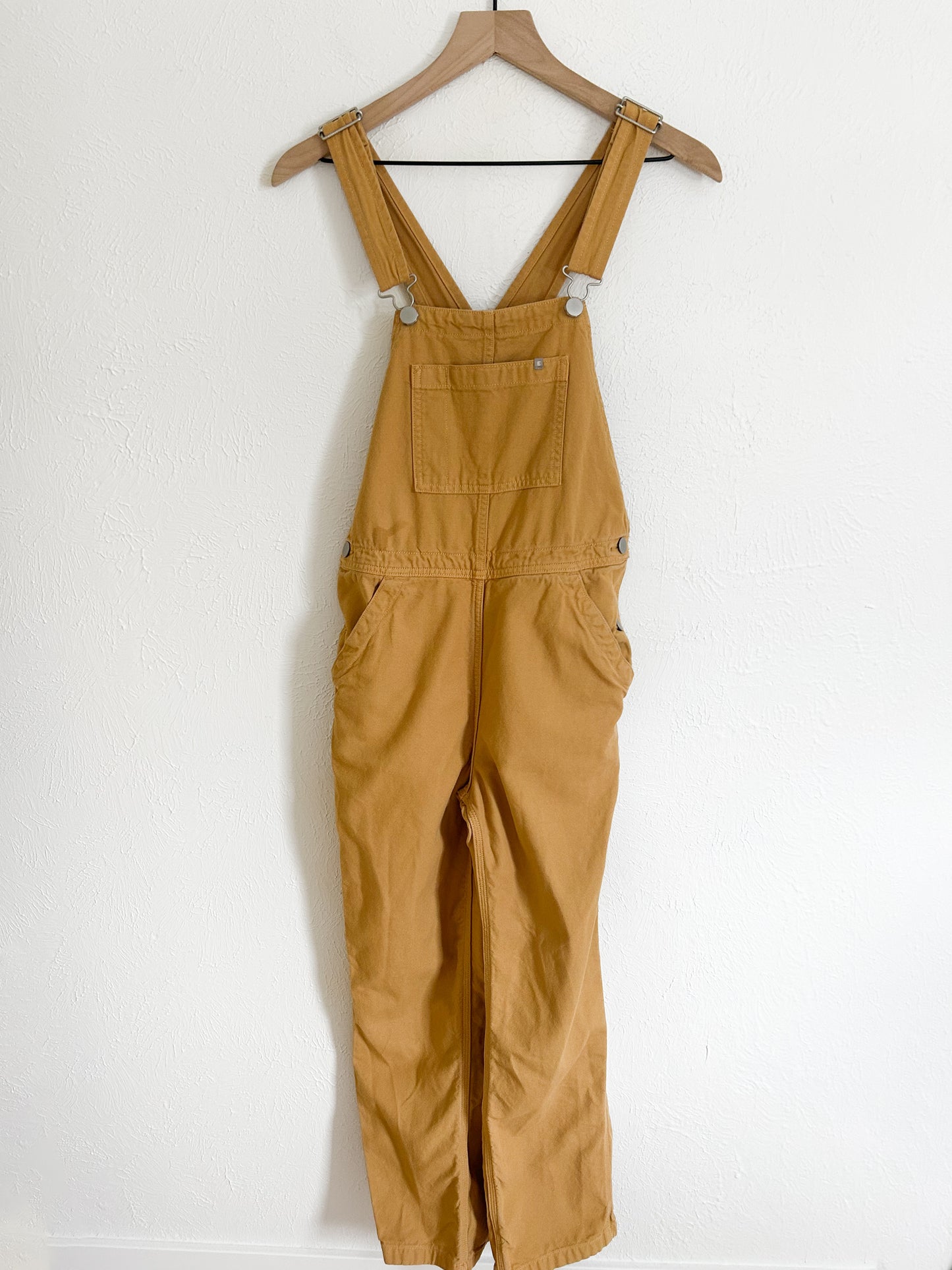 Everlane ‘The Canvas’ Overalls (S)